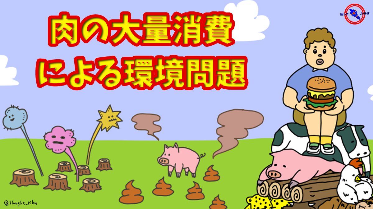 肉 の 大量消費 による 環境問題