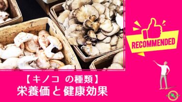 【 キノコ の種類 】 栄養価 と 健康効果