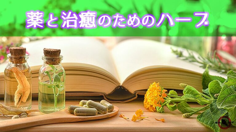 薬 と 治癒 のための ハーブ