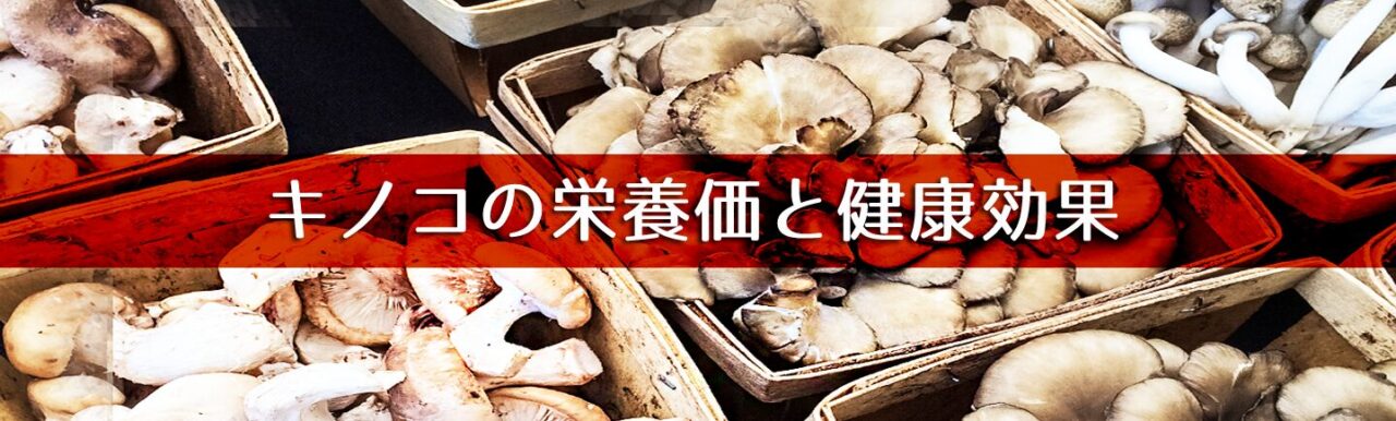 キノコ の栄養　困ったカラダ