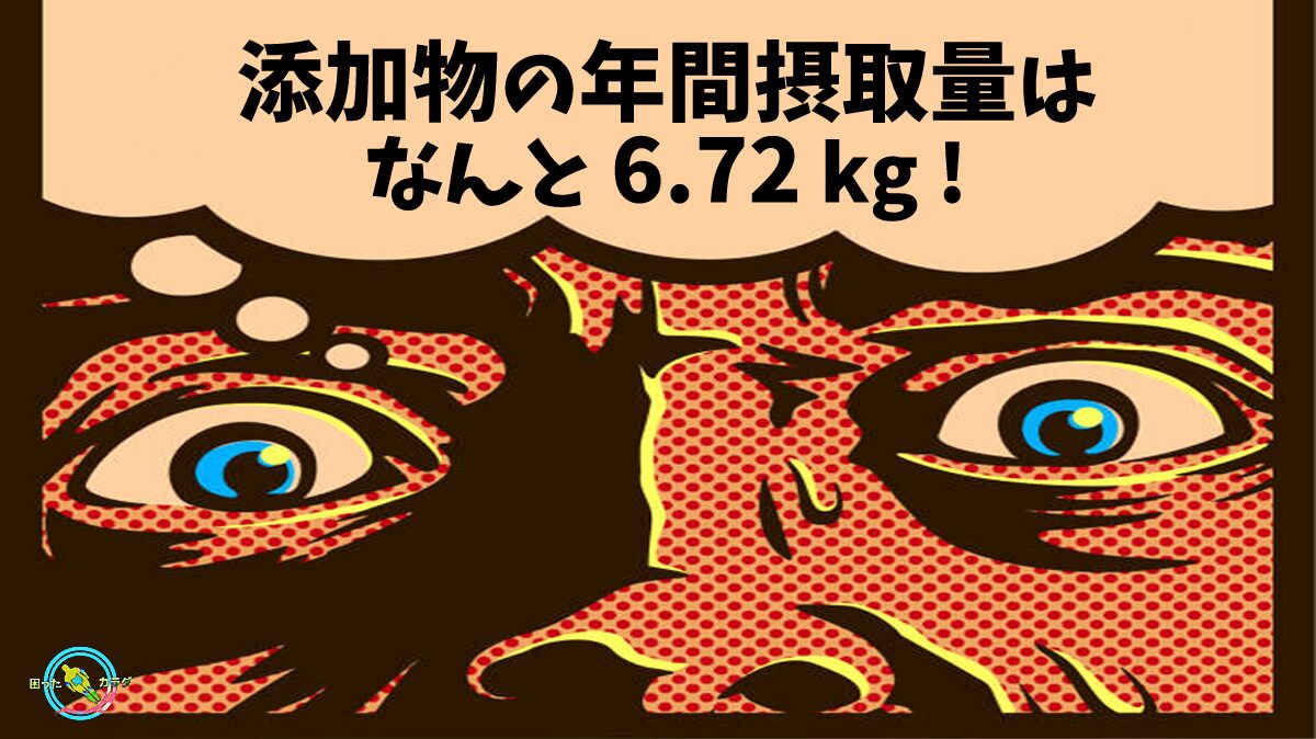 一年間で摂取している 添加物 の量はなんと 6.72 kg !