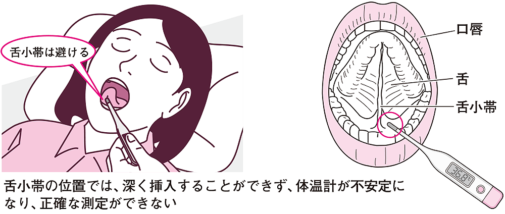 口腔体温の測り方