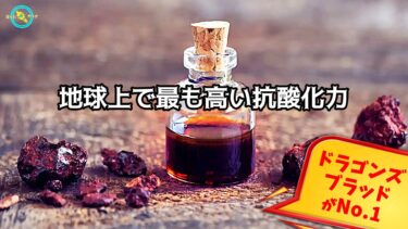 最強の 抗酸化物質 ドラゴンズブラッド