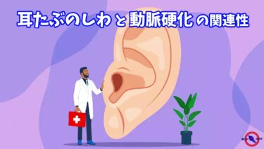耳たぶのしわ と 動脈硬化 の関連性