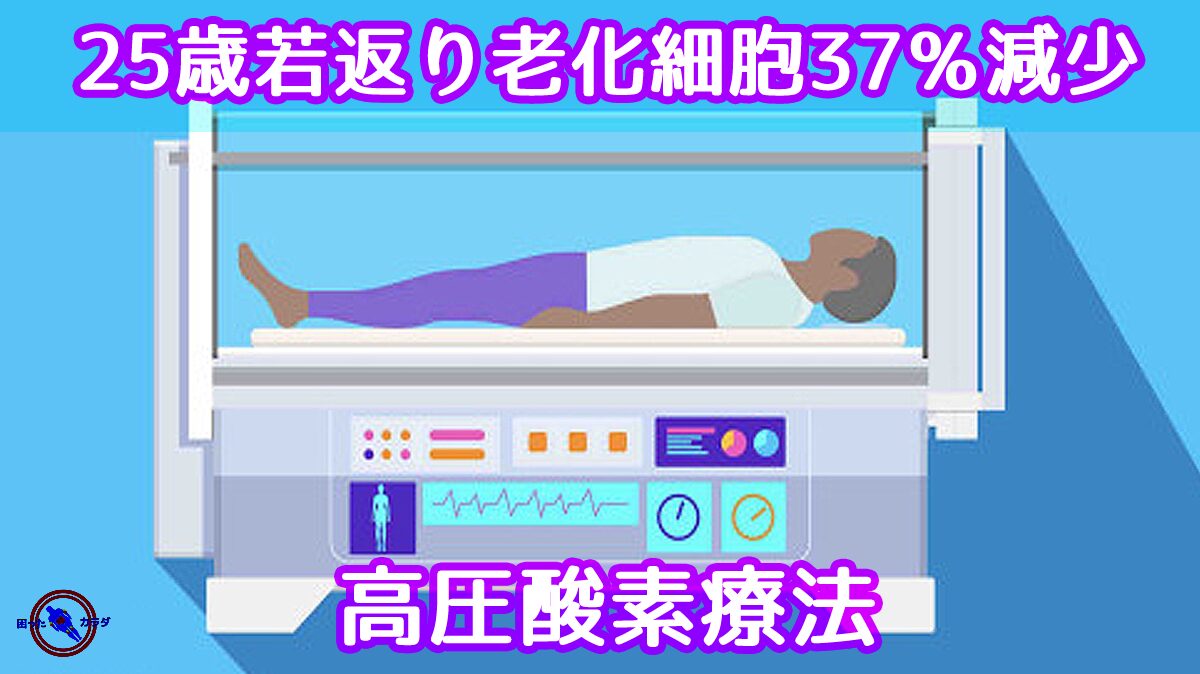 高圧酸素療法 HBOTで25歳若返り老化細胞37％減少に成功