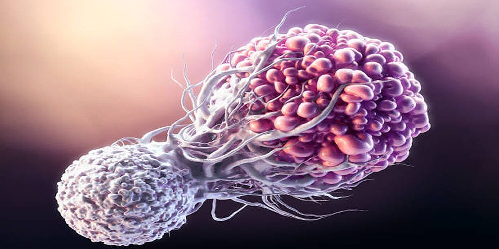 癌細胞 と戦う 白血球