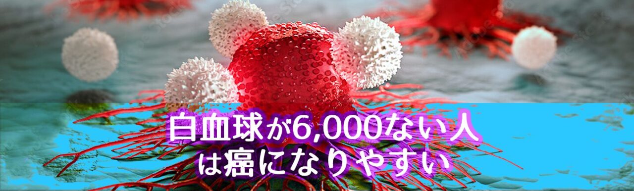 白血球 が 6000 ない人　困ったカラダ