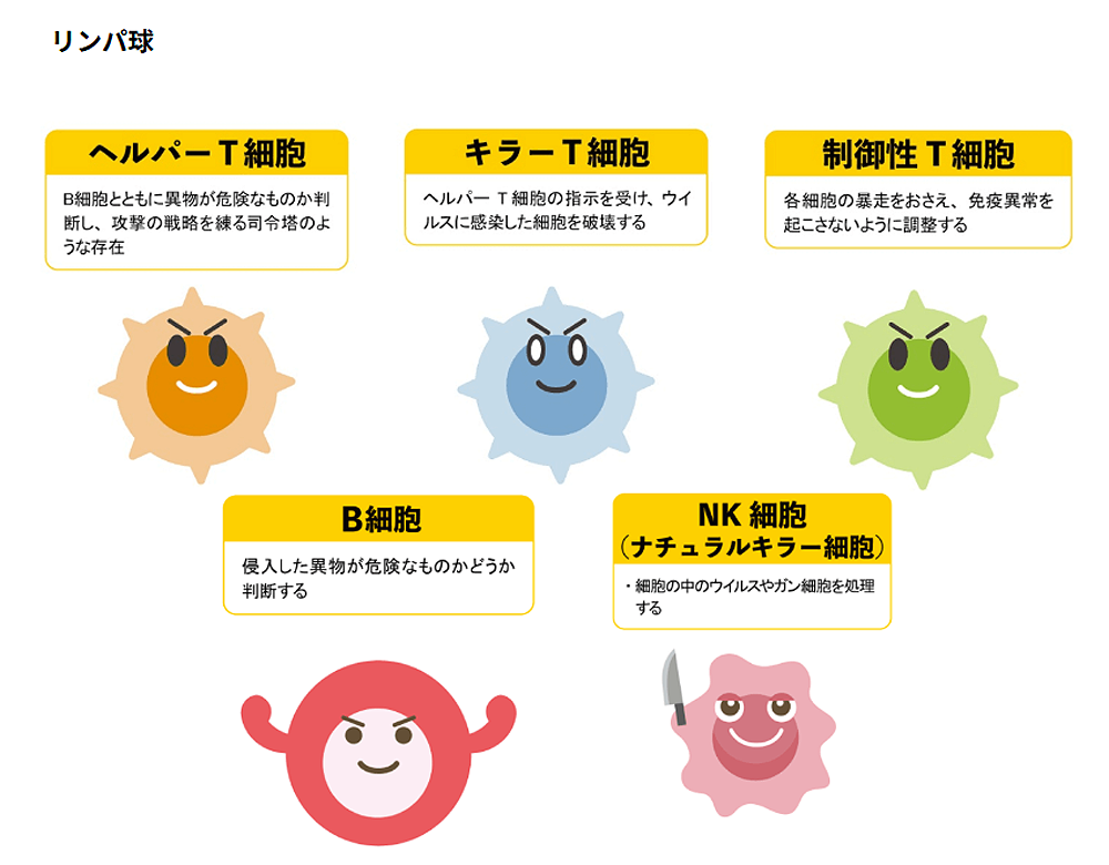 白血球 リンパ球