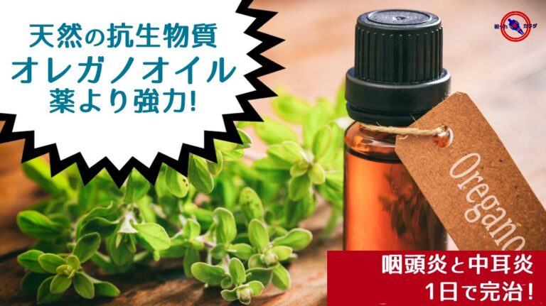 ★ 【 薬より効く 天然の抗生物質 】 オレガノオイル で咽頭炎と中耳炎が1日で完治 !
