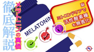 【 メラトニン の真価 】ドミノ倒しで 活性酸素種 を無害化 ※ 脳・ミトコンドリアで活躍