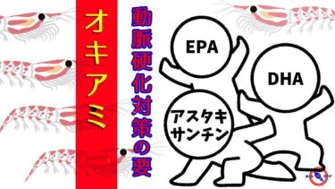【 健康の鍵を握る オキアミ 】動脈硬化 対策の御三家 EPA ・ DHA ・ アスタキサンチン を含む オキアミ の全て