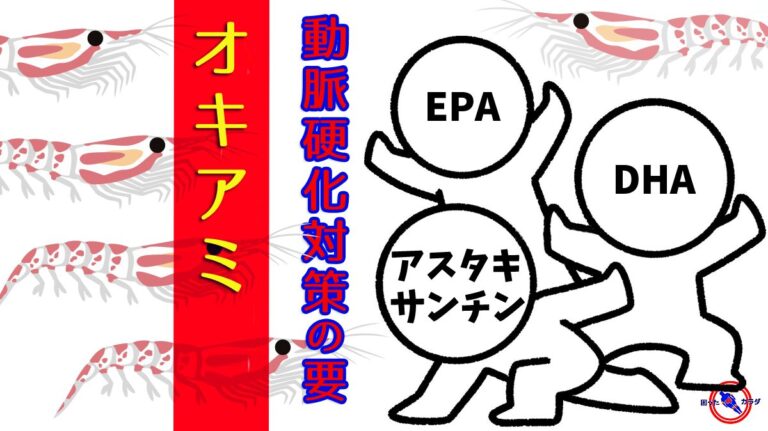 【 健康の鍵を握る オキアミ 】動脈硬化 対策の御三家 EPA ・ DHA ・ アスタキサンチン を含む オキアミ の全て
