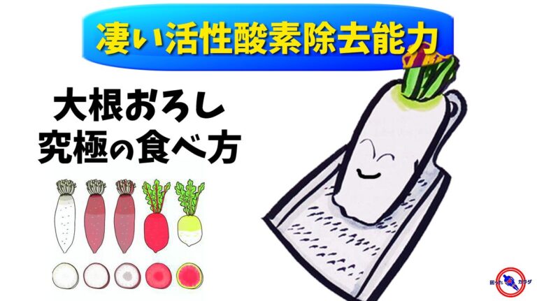 【 大根おろし の究極の食べ方 】高い 活性酸素除去能力 の 大根おろし に更に何を組み合わせるか