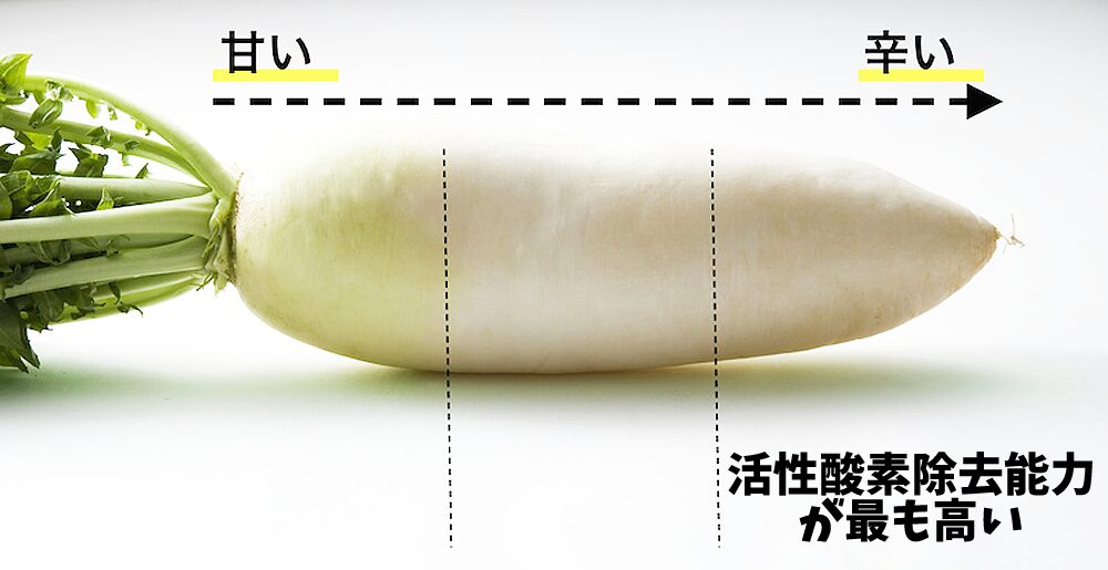 抗酸化効果が高い大根の部位
