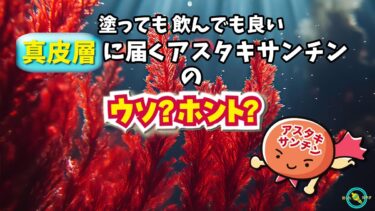 【 真皮層 に届く アスタキサンチン 】 塗っても 飲んでも 良い アスタキサンチン の ウソ ホント