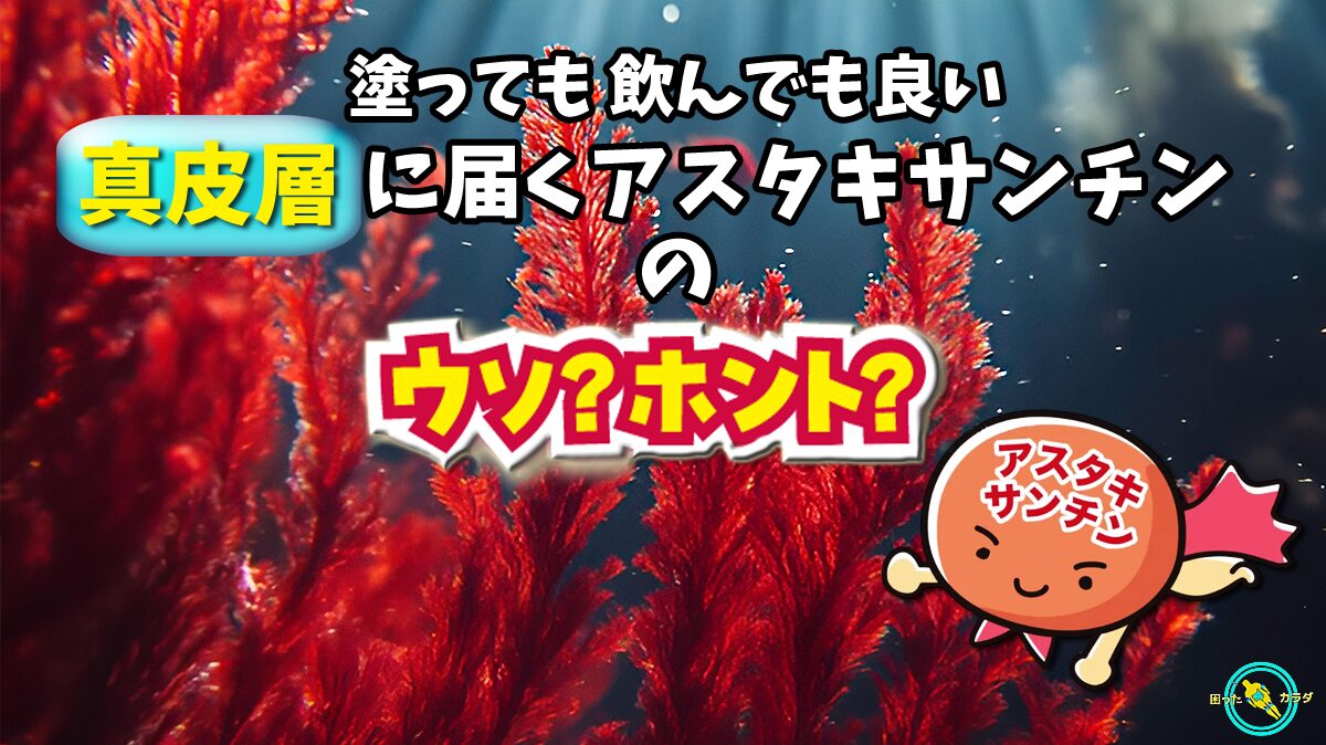 【 真皮層 に届く アスタキサンチン 】 塗っても 飲んでも 良い アスタキサンチン の ウソ ホント