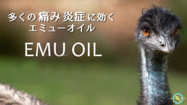 多くの 痛み ・ 炎症 に効く 医薬品 : エミューオイル ※ 関節炎 筋肉痛 の味方