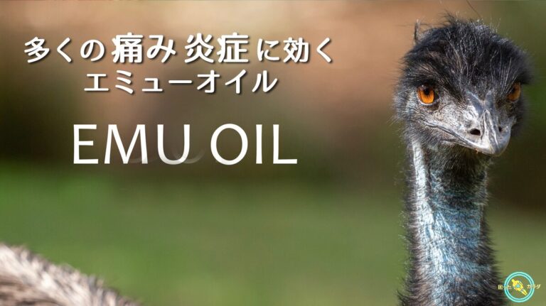 多くの 痛み ・ 炎症 に効く 医薬品 : エミューオイル ※ 関節炎 筋肉痛 の味方