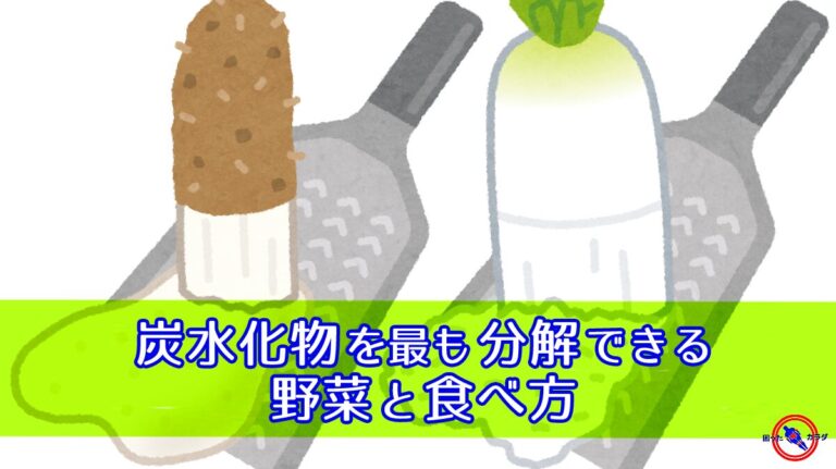 炭水化物 を最も分解できる 野菜 と 食べ方