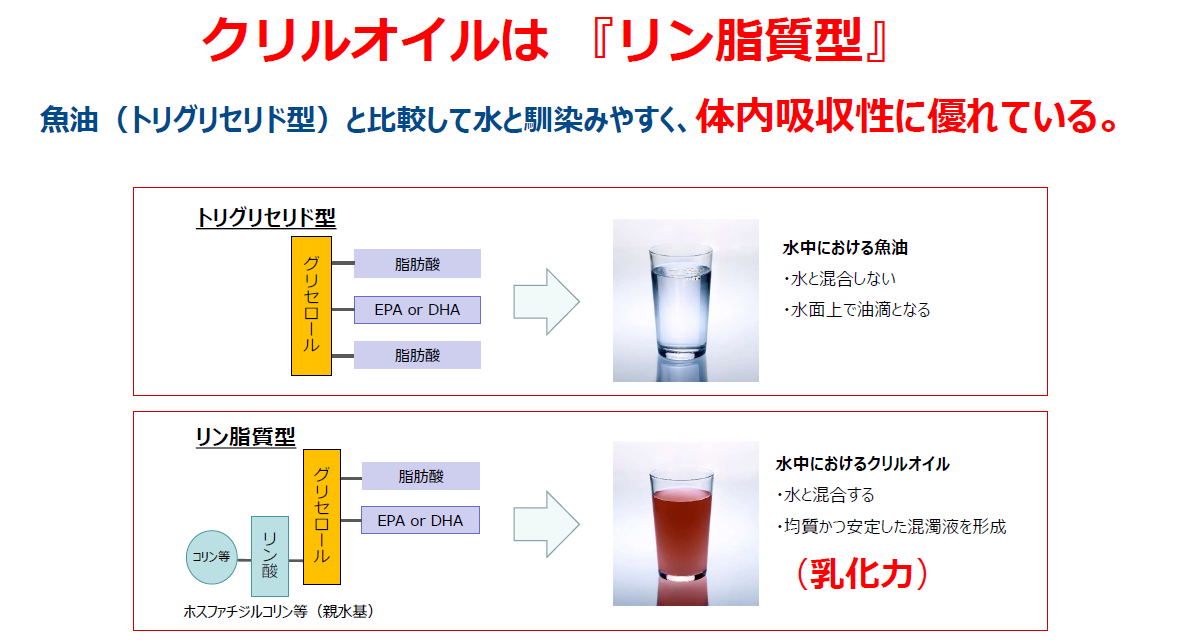 クリルオイルはリン脂質