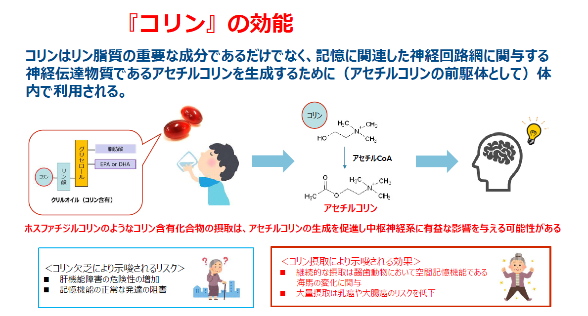 コリンの効能