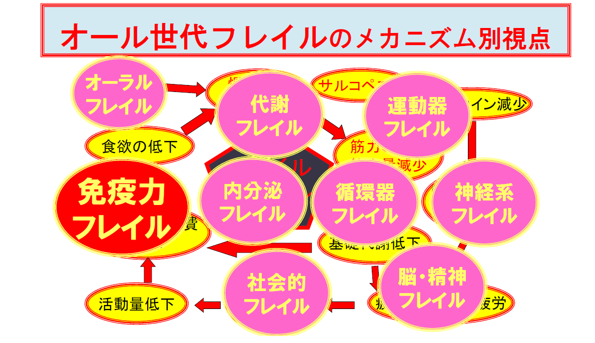 フレイルのメカニズム