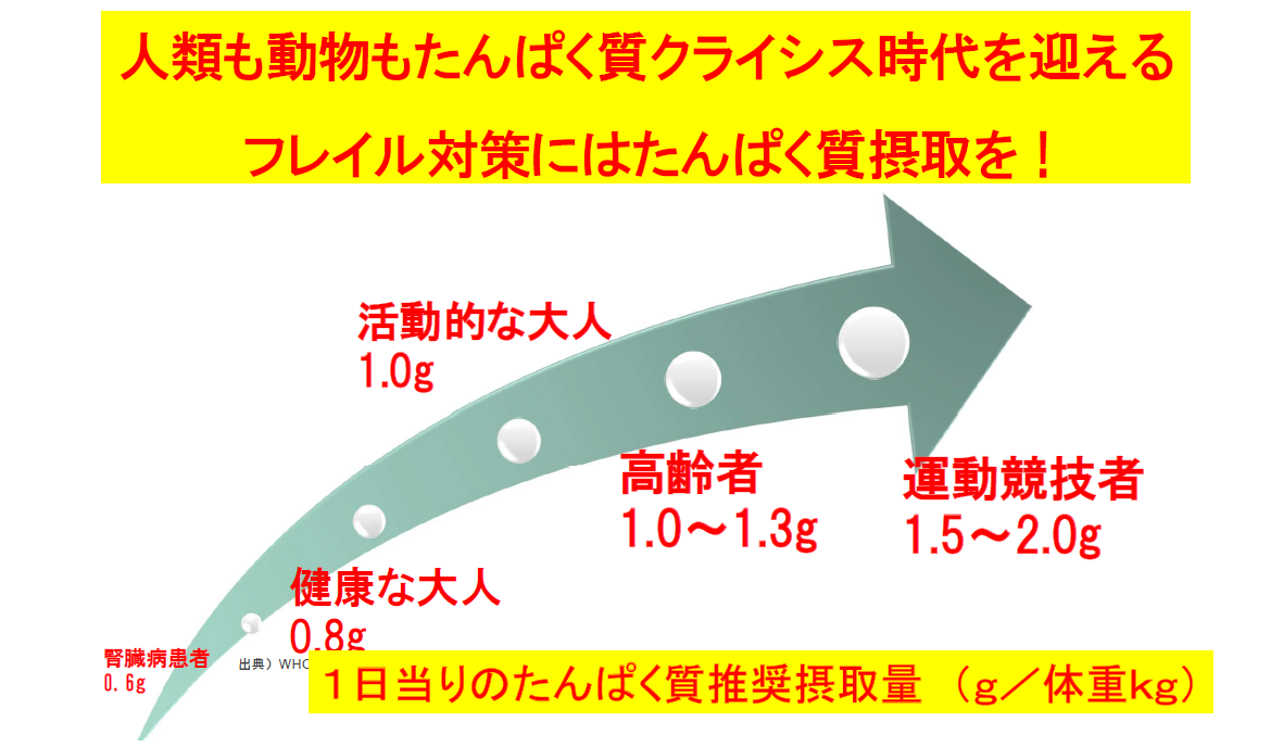フレイル対策とタンパク質