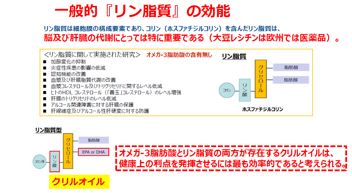 リン脂質の効能