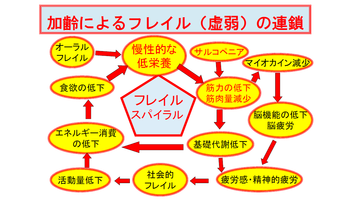 加齢によるフレイルの連鎖
