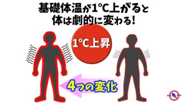 基礎体温 が1℃ことで起きる劇的な4つの体の変化
