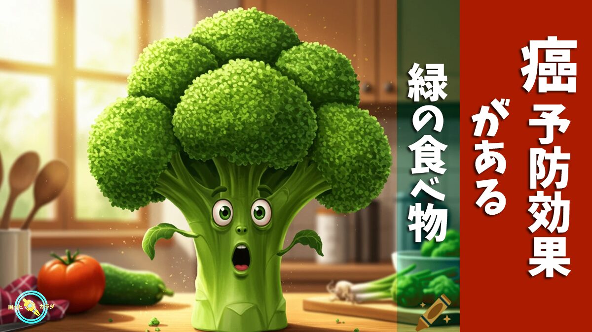 癌予防効果がある 緑の食べ物　ブロッコリー