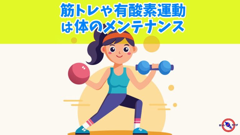 筋トレ や 有酸素運動 は 体のメンテナンス