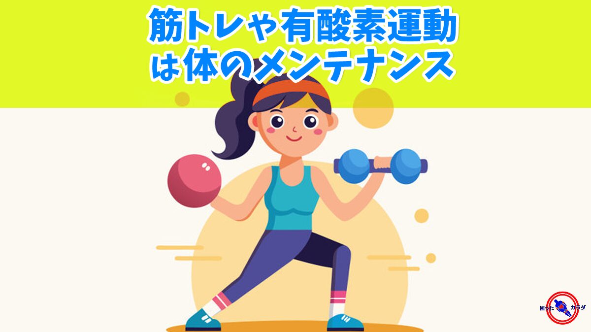 筋トレ や 有酸素運動 は 体のメンテナンス