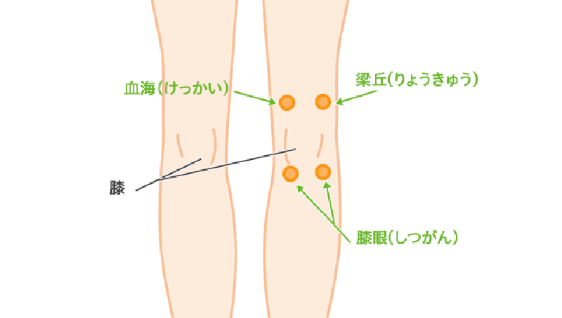 膝の痛みのツボ