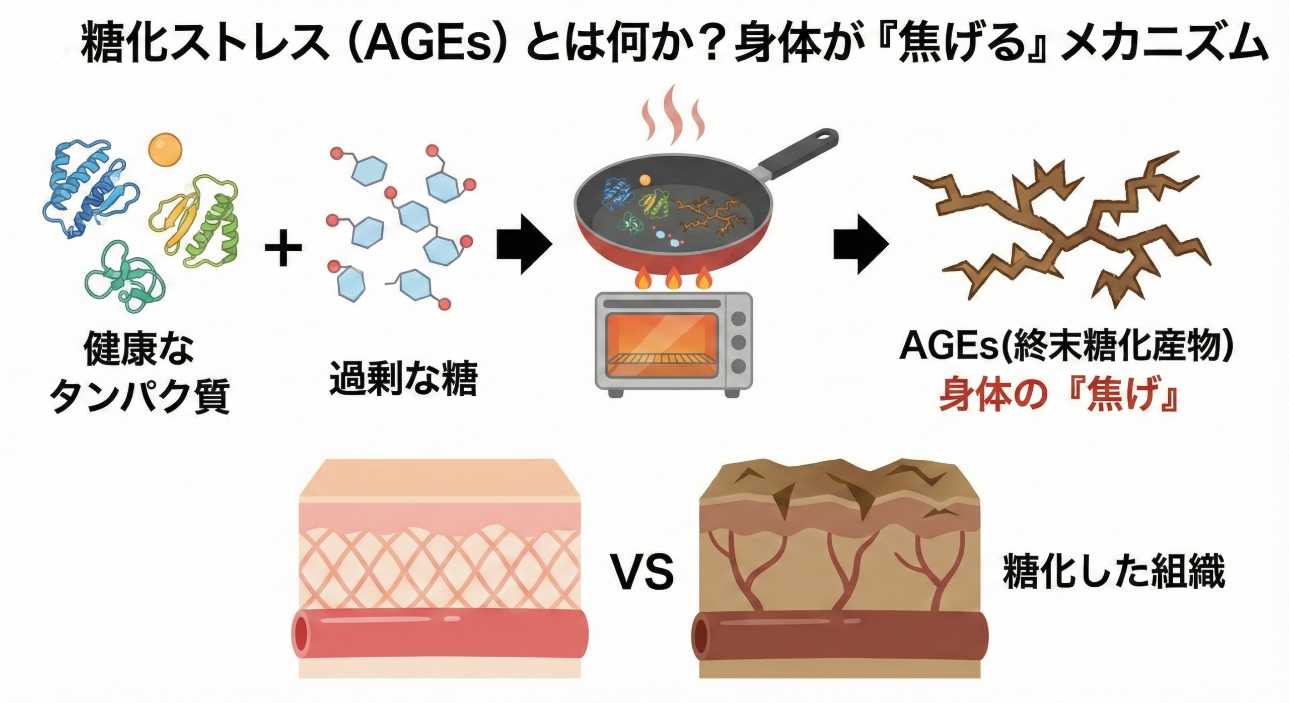 糖化ストレス