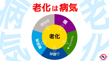 老化は病気だった