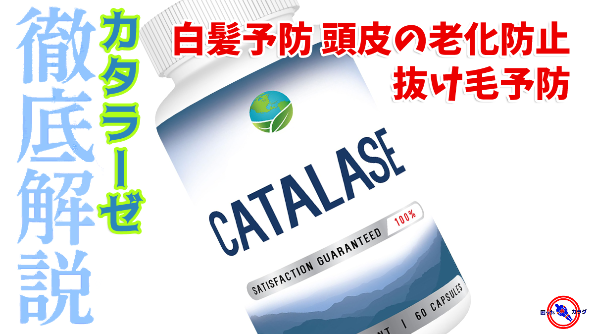 【 白髪予防 頭皮の老化防止 】 活性酸素 による 抜け毛 の予防 + ヘアカラー ・ パーマ のダメージ軽減