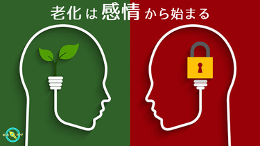 老化は感情から始まる