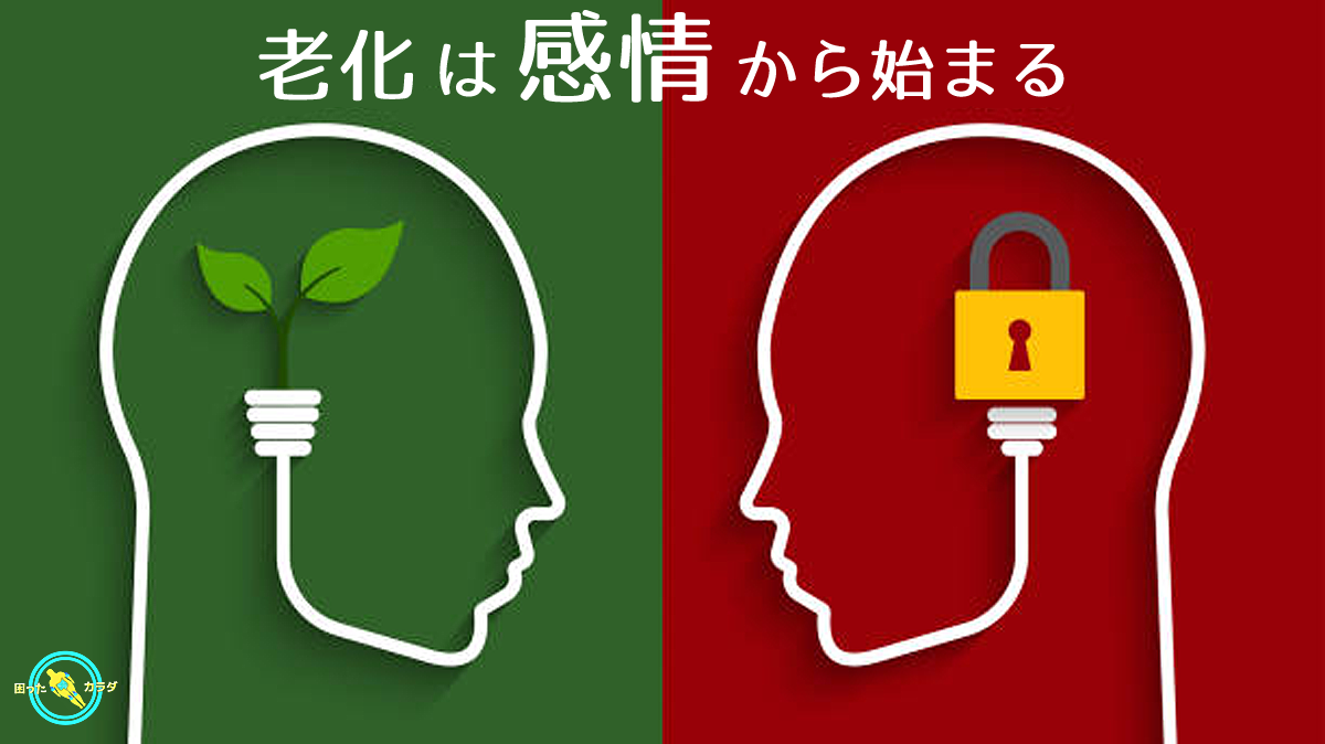 老化は感情から始まる