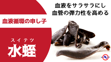血液をサラサラにし血管の弾力性を高める 水蛭 ( スイテツ ) ※血液循環の申し子